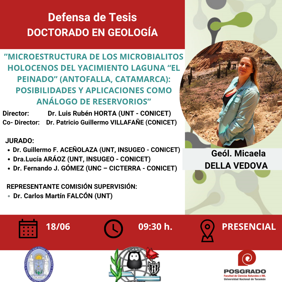 Tesis DELLA VEDOVA
